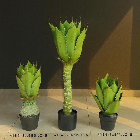 شجلا اوليفرا